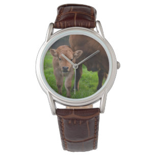 Cutest Baby Animals   Cow & Calf Watch