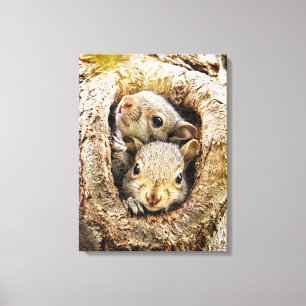 Cutest Baby Animals Curious Baby Squirrels Canvas Print