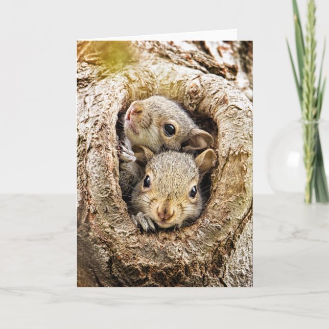 Cutest Baby Animals | Curious Baby Squirrels Card (Front)