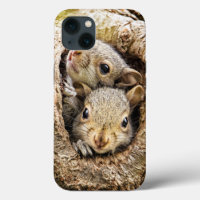 Cutest Baby Animals | Curious Baby Squirrels