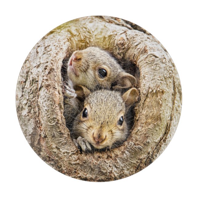 Cutest Baby Animals | Curious Baby Squirrels Cutting Board (Front)