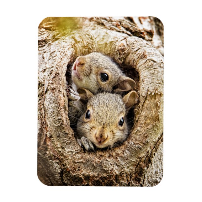 Cutest Baby Animals | Curious Baby Squirrels Magnet (Vertical)