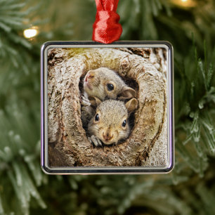 Cutest Baby Animals   Curious Baby Squirrels Metal Tree Decoration