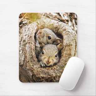Cutest Baby Animals   Curious Baby Squirrels Mouse Mat