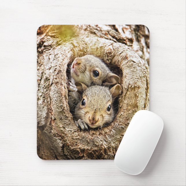 Cutest Baby Animals | Curious Baby Squirrels Mouse Mat (With Mouse)