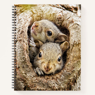Cutest Baby Animals Curious Baby Squirrels Notebook