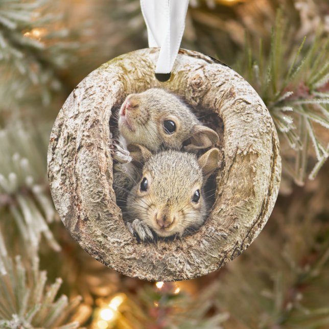 Cutest Baby Animals | Curious Baby Squirrels Ornament (Tree)