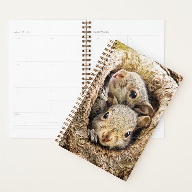 Cutest Baby Animals | Curious Baby Squirrels Planner (Display)
