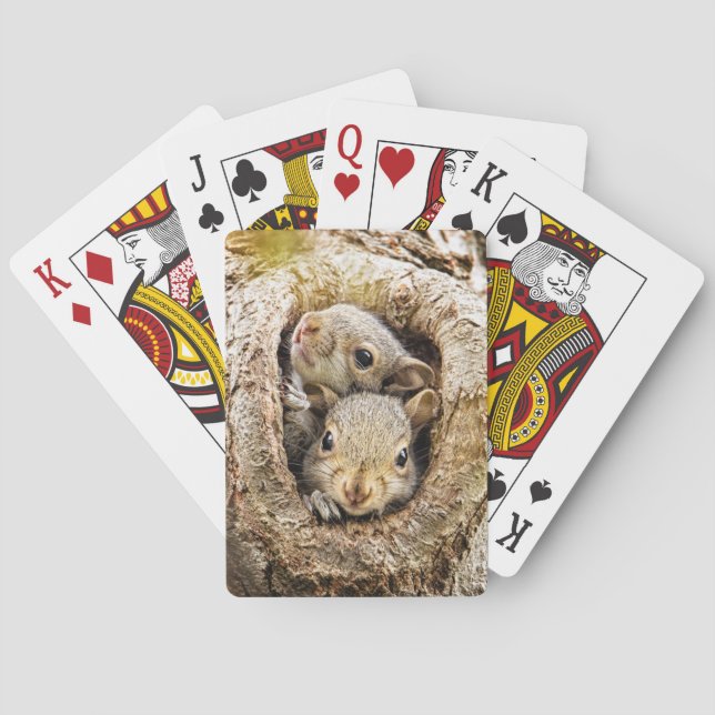 Cutest Baby Animals | Curious Baby Squirrels Playing Cards (Back)