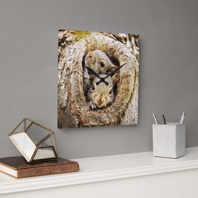 Cutest Baby Animals | Curious Baby Squirrels Square Wall Clock (Office)
