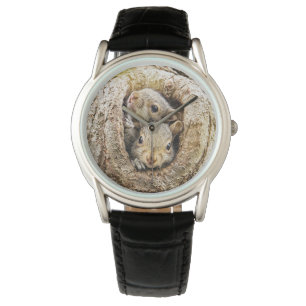 Cutest Baby Animals   Curious Baby Squirrels Watch