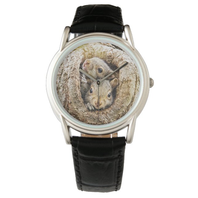 Cutest Baby Animals | Curious Baby Squirrels Watch (Front)