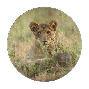 Cutest Baby Animals   Cute Baby Lion Cub Cutting Board