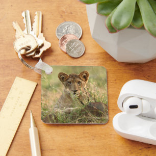 Cutest Baby Animals   Cute Baby Lion Cub Key Ring