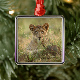 Cutest Baby Animals Cute Baby Lion Cub Metal Tree Decoration