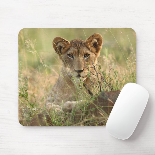 Cutest Baby Animals | Cute Baby Lion Cub Mouse Mat (With Mouse)