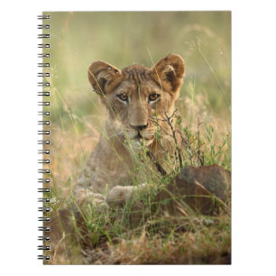 Cutest Baby Animals Cute Baby Lion Cub Notebook