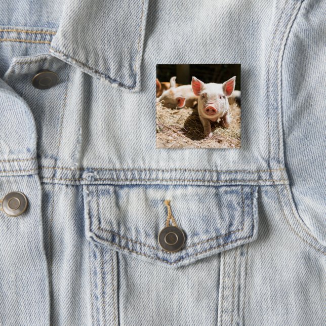 Cutest Baby Animals | Cute Baby Piglet 15 Cm Square Badge (In Situ)