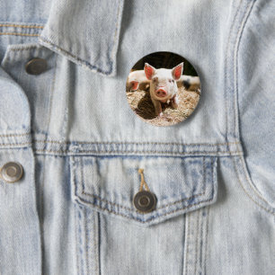Cutest Baby Animals Cute Baby Piglet 6 Cm Round Badge