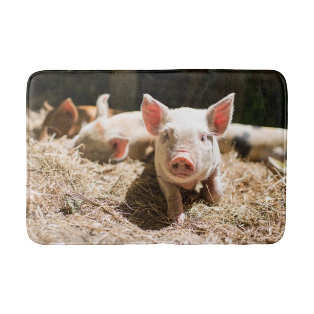 Cutest Baby Animals | Cute Baby Piglet Bath Mat (Front)