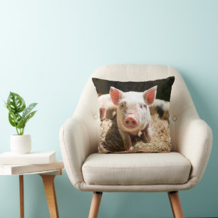 Cutest Baby Animals Cute Baby Piglet Cushion