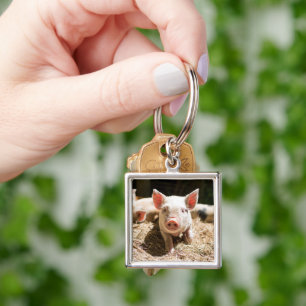 Cutest Baby Animals   Cute Baby Piglet Key Ring