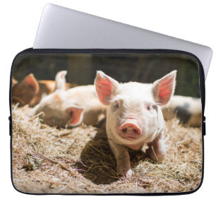 Cutest Baby Animals   Cute Baby Piglet Laptop Sleeve