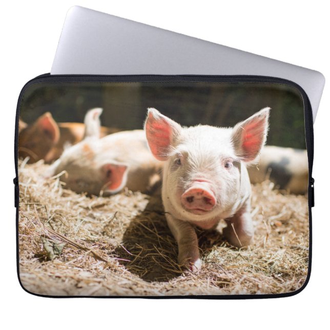 Cutest Baby Animals | Cute Baby Piglet Laptop Sleeve (Front)