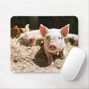 Cutest Baby Animals Cute Baby Piglet Mouse Mat