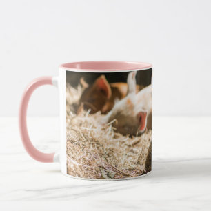 Cutest Baby Animals   Cute Baby Piglet Mug