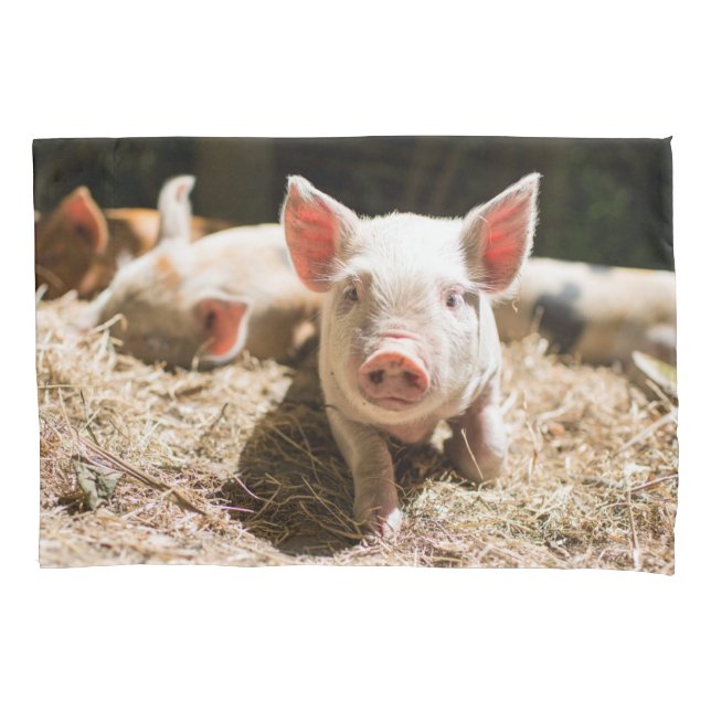 Cutest Baby Animals | Cute Baby Piglet Pillowcase (Front)