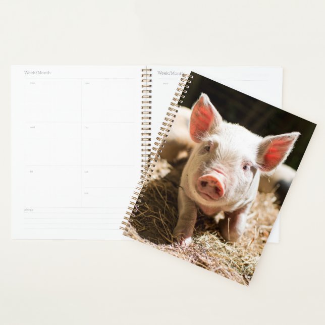 Cutest Baby Animals | Cute Baby Piglet Planner (Display)