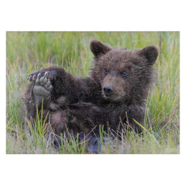 Cutest Baby Animals | Cute Brown Bear Cub Playing Cutting Board (Front)