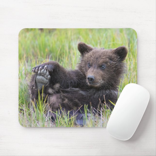 Cutest Baby Animals | Cute Brown Bear Cub Playing Mouse Mat (With Mouse)