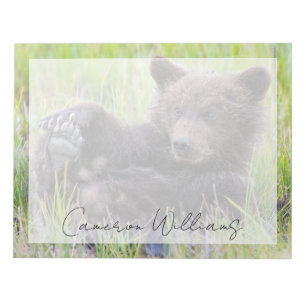 Cutest Baby Animals   Cute Brown Bear Cub Playing Notepad