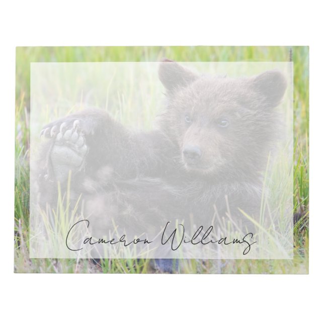 Cutest Baby Animals | Cute Brown Bear Cub Playing Notepad (Front)