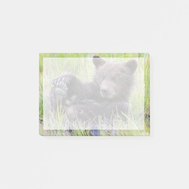 Cutest Baby Animals | Cute Brown Bear Cub Playing Post-it Notes (Front)