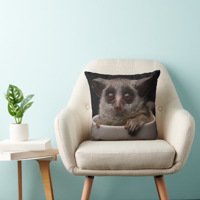 Cutest Baby Animals | Cute Bushbaby Cushion (Chair)