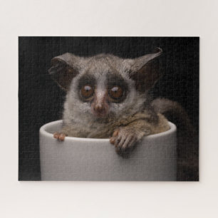 Cutest Baby Animals   Cute Bushbaby Jigsaw Puzzle