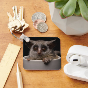 Cutest Baby Animals Cute Bushbaby Key Ring