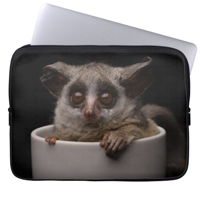Cutest Baby Animals | Cute Bushbaby Laptop Sleeve (Front)