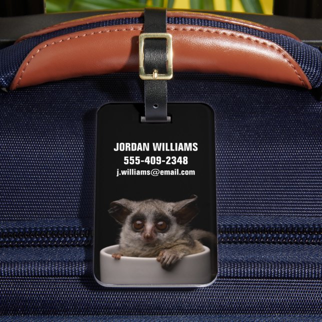 Cutest Baby Animals | Cute Bushbaby Luggage Tag (Front Insitu 2)
