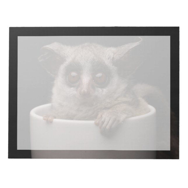 Cutest Baby Animals | Cute Bushbaby Notepad (Front)