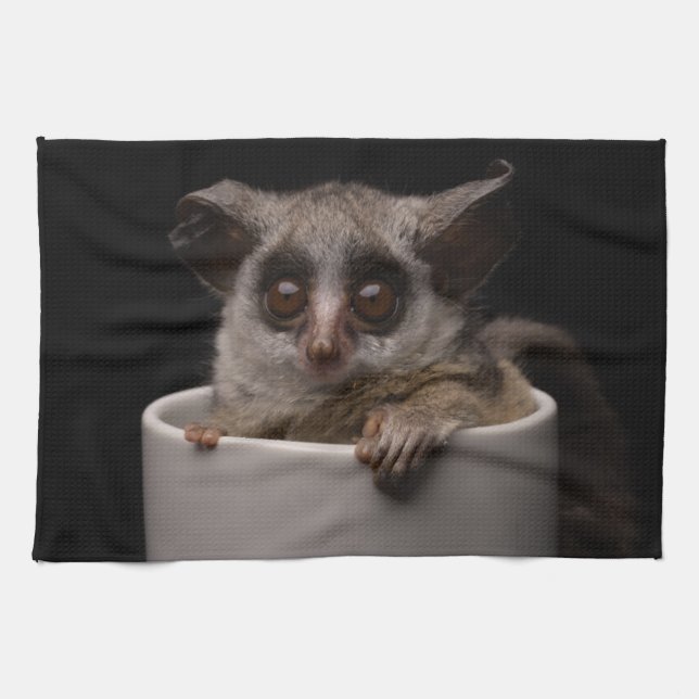 Cutest Baby Animals | Cute Bushbaby Tea Towel (Horizontal)
