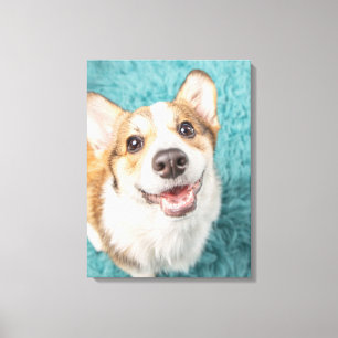 Cutest Baby Animals Cute Corgi Puppy Smile Canvas Print