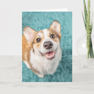 Cutest Baby Animals Cute Corgi Puppy Smile Card
