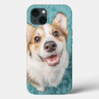 Cutest Baby Animals | Cute Corgi Puppy Smile