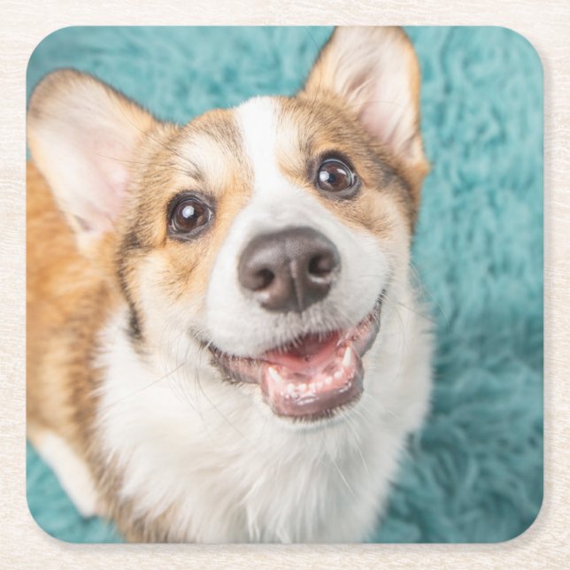 Cutest Baby Animals | Cute Corgi Puppy Smile Square Paper Coaster (Front)
