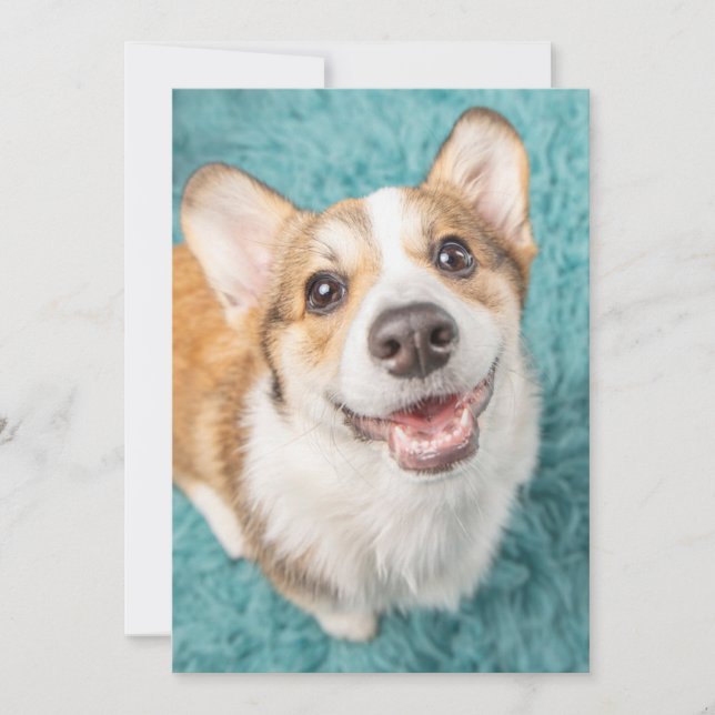 Cutest Baby Animals | Cute Corgi Puppy Smile Thank You Card (Front)