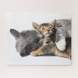 Cutest Baby Animals   Cute Kitten Hug Jigsaw Puzzle